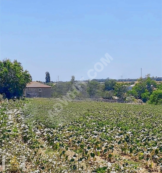 İHTİYAÇTAN SATILIK,ARSA TAPU,TEK TAPU,KÖYÜN EN UYGUN,EN KELEPİRİ