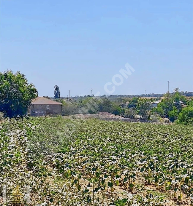 İHTİYAÇTAN ACİL SATILIK TEK TAPU UYGUN FİYATLI HARİKA ARSA