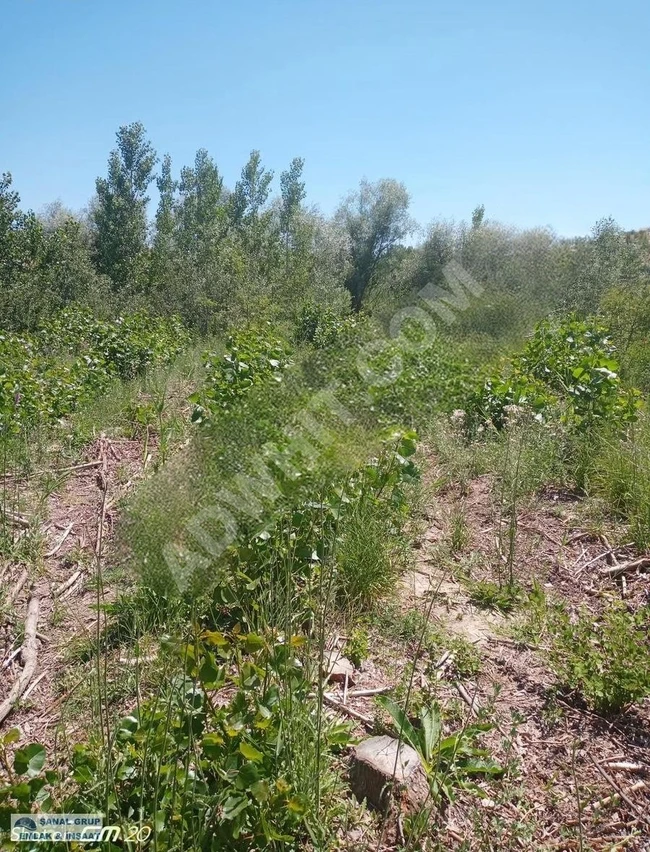 قطعة أرض مستعجلة للبيع ، مناسبة للاستثمار.