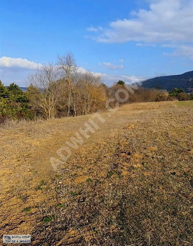 ŞANAL GRUP'TAN SATILIK TARLA VASIFLI ARSA