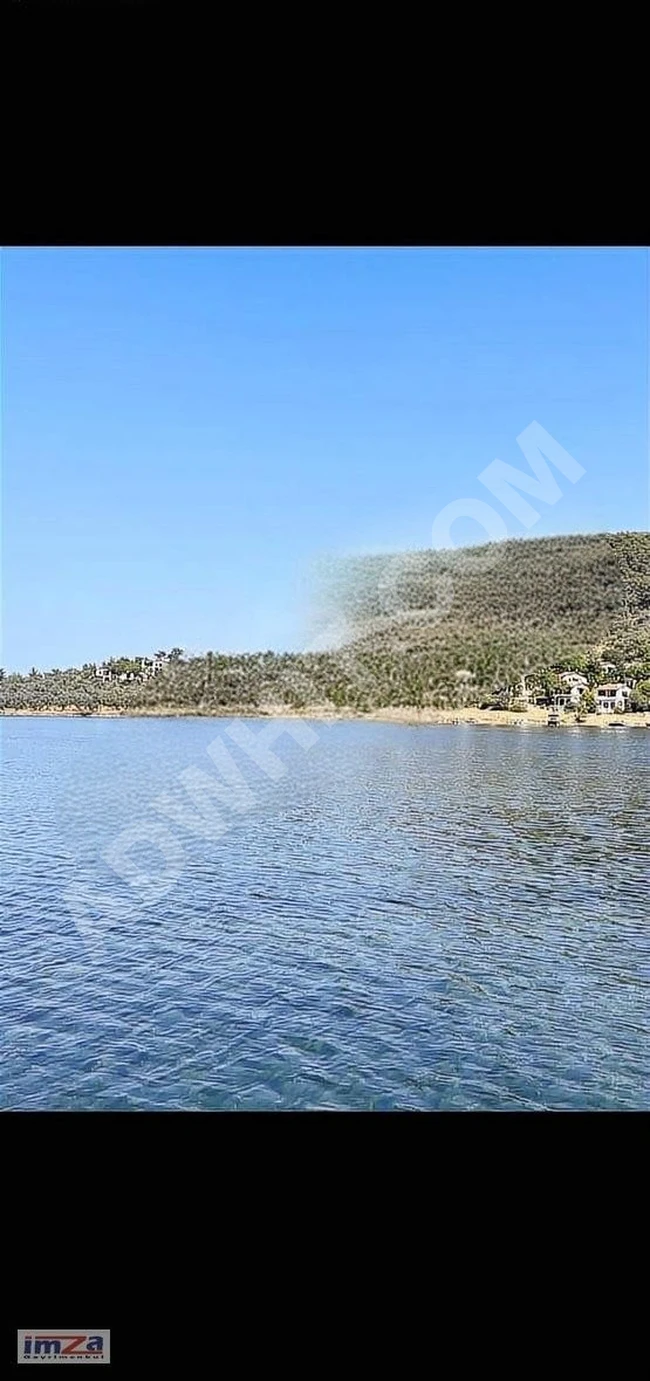 CUNDA'NIN DEĞERLİ BÖLGESİ,LÜKS SİTEYE KOMŞU, YOL CEPHE ZEYTİNLİK