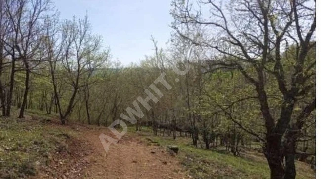 YENİ TOWER'DAN ÇANAKKALE'DE SATILIK 18 DÖNÜM ARAZİ