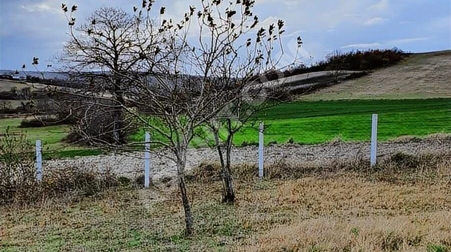 YTG'DEN ÇATALCA' DA SATILIK TEK TAPU 2552 m2 ARAZİ