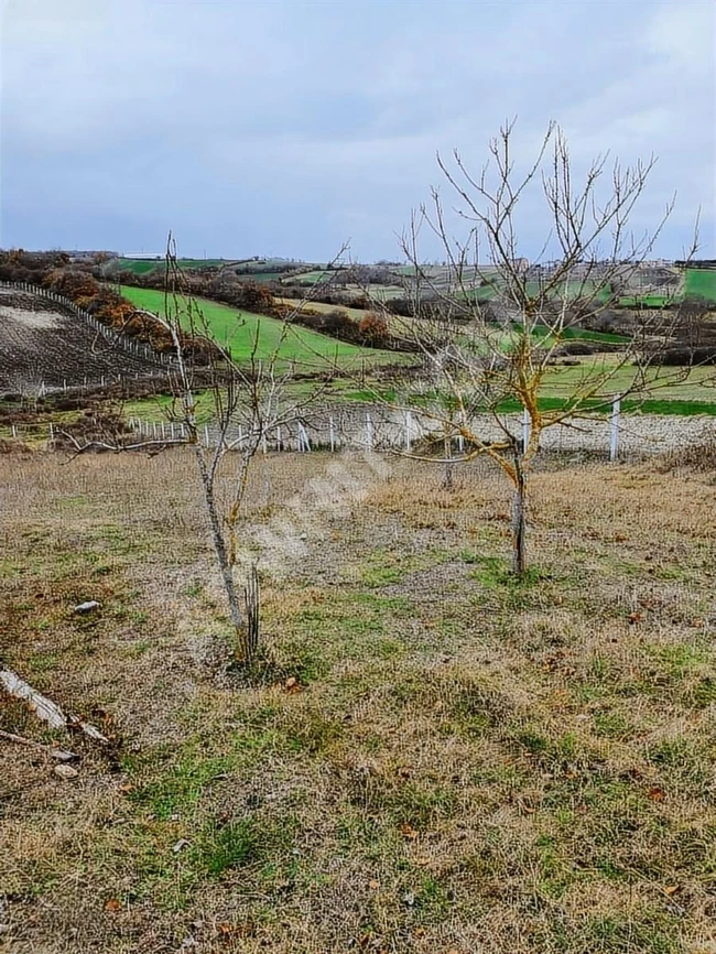 YTG'DEN ÇATALCA' DA SATILIK TEK TAPU 2552 m2 ARAZİ