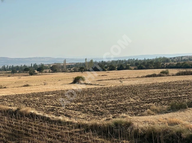 acil fiyat düştü DEĞİRMENKÖY DE 752 M2 YATIRIMA UYGUN YOLU VAR