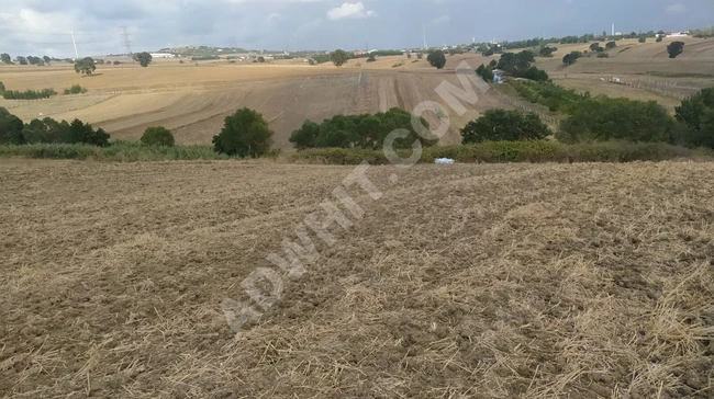 acil fiyat düştü DEĞİRMENKÖY DE 752 M2 YATIRIMA UYGUN YOLU VAR