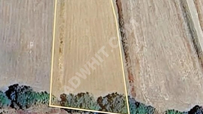 فرصة ذهبية أرض زراعية قابلة للاستثمار بمساحة 2200 متر مربع في KELEPİR ÇANAKKALE BİGA، بسعر مغرٍ.