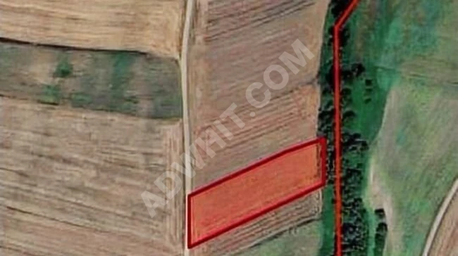 SİLİVRİ BÜYÜKKILIÇLIKÖYÜ EN GÜZEL MAH SATILIK ARSA