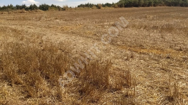 KABAKÇADA KARAVAN PARKI KARŞISI,CADDE ÜSTÜ, ELKTRİK SU, 21.600M2