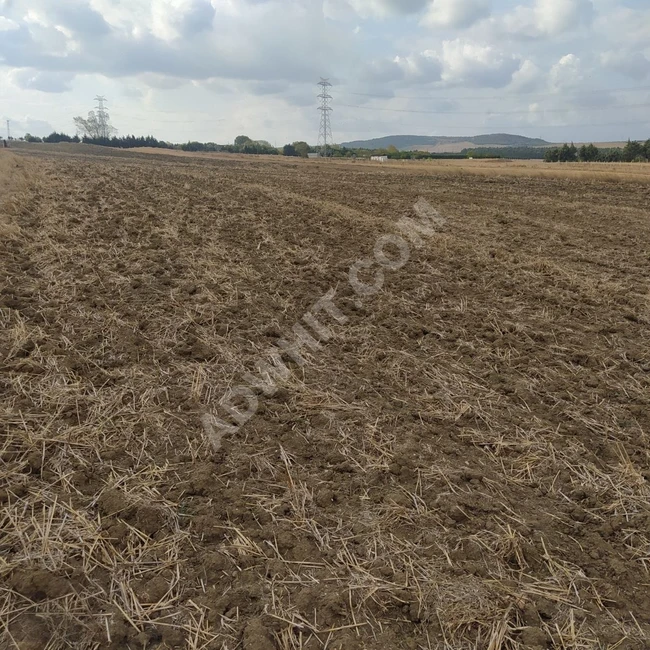 acil fiyat düştü DEĞİRMENKÖY DE 752 M2 YATIRIMA UYGUN YOLU VAR