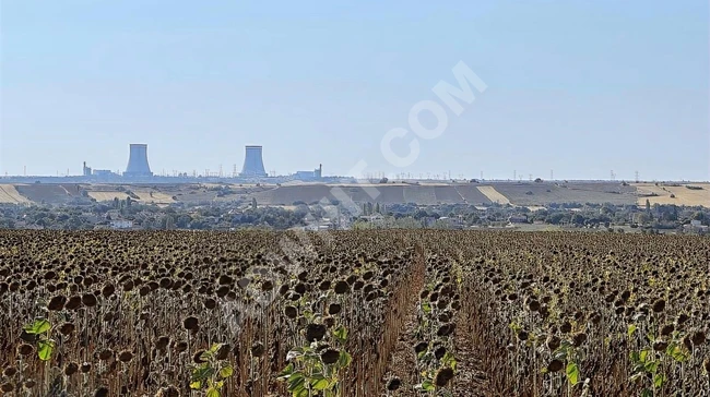 A plot of land near the village, with an area of 437 square meters.