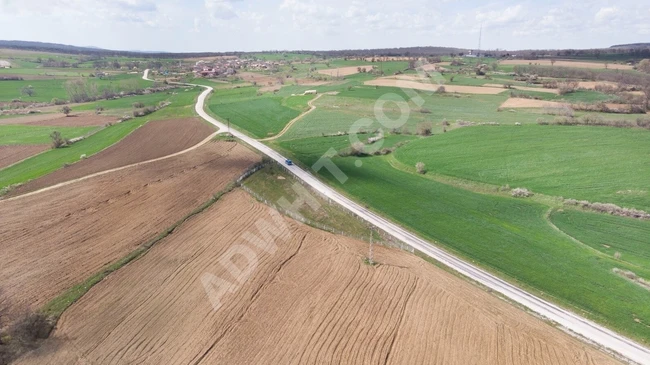 A plot of land with a single title deed, fenced along the frontage, with a frontage facing the asphalt road measuring 113 meters.