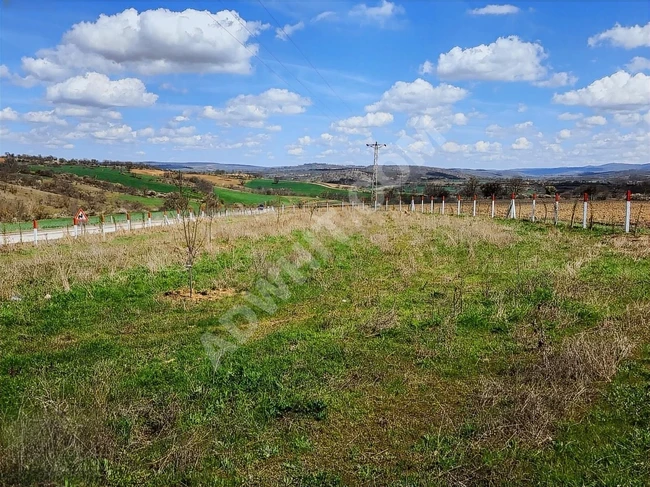 A plot of land with a single title deed, fenced along the frontage, with a frontage facing the asphalt road measuring 113 meters.