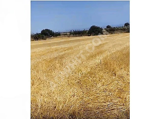 ÇANAKKALE BİGA AĞAKÖYDE 2.782.54m2 SATILIK ARSA