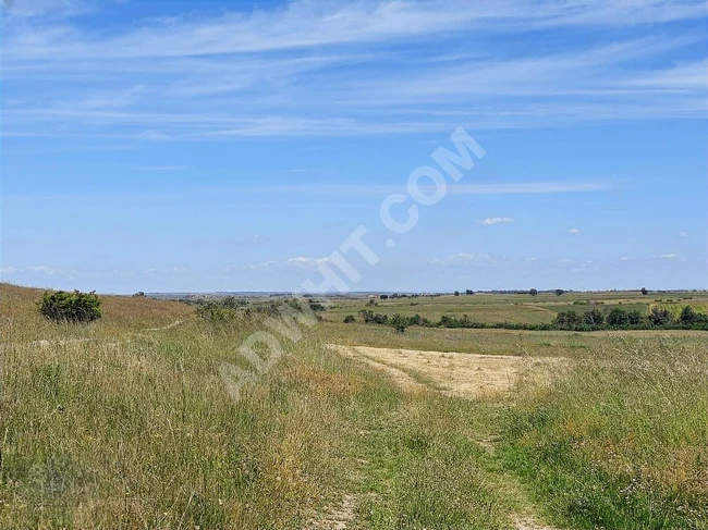 An independent agricultural land with a single title deed for sale in HAYRABOLU LAHANA village.