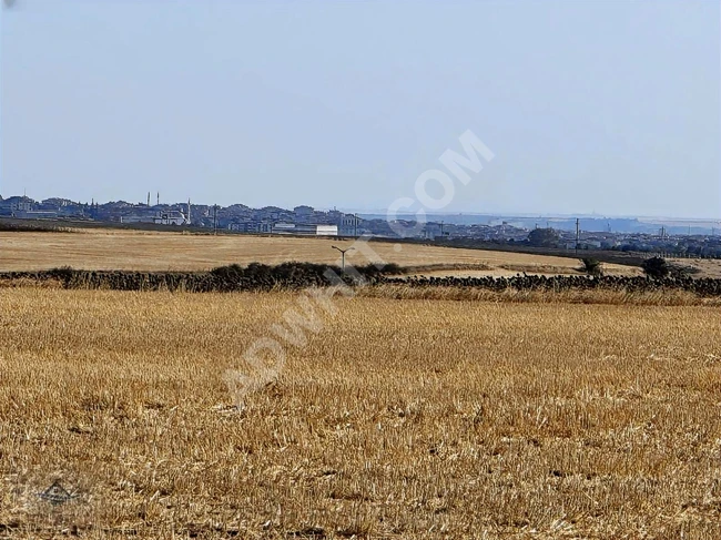 A plot of land near the village, with an area of 437 square meters.