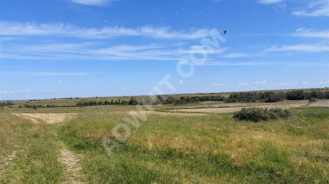 An independent agricultural land with a single title deed for sale in HAYRABOLU LAHANA village.