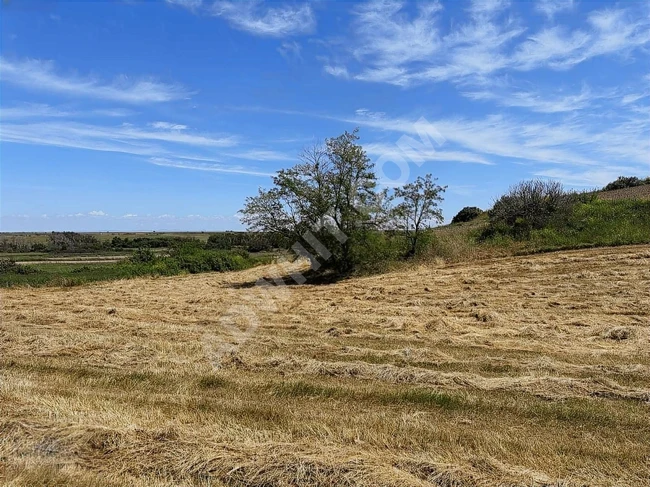 An independent agricultural land with a single title deed for sale in HAYRABOLU LAHANA village.