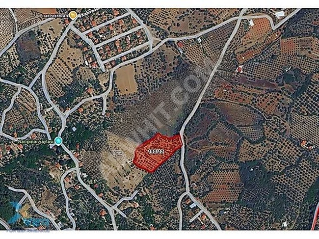 AYDIN KARACASU KÜÇÜKDAĞLIDA SATILIK 8.340m² BAĞ BAHÇE