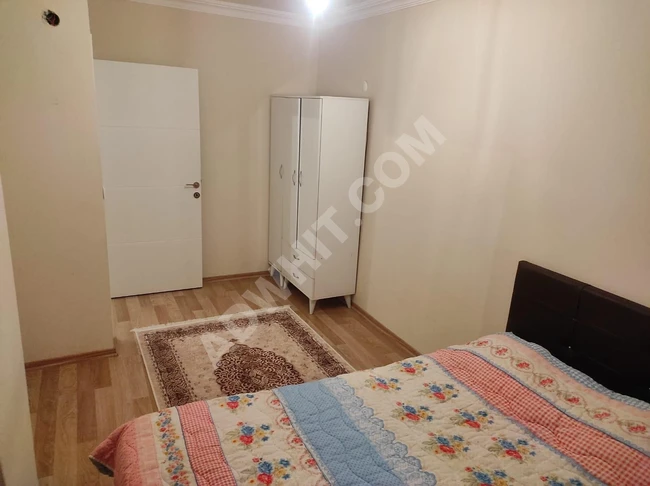 شقة للايجار 