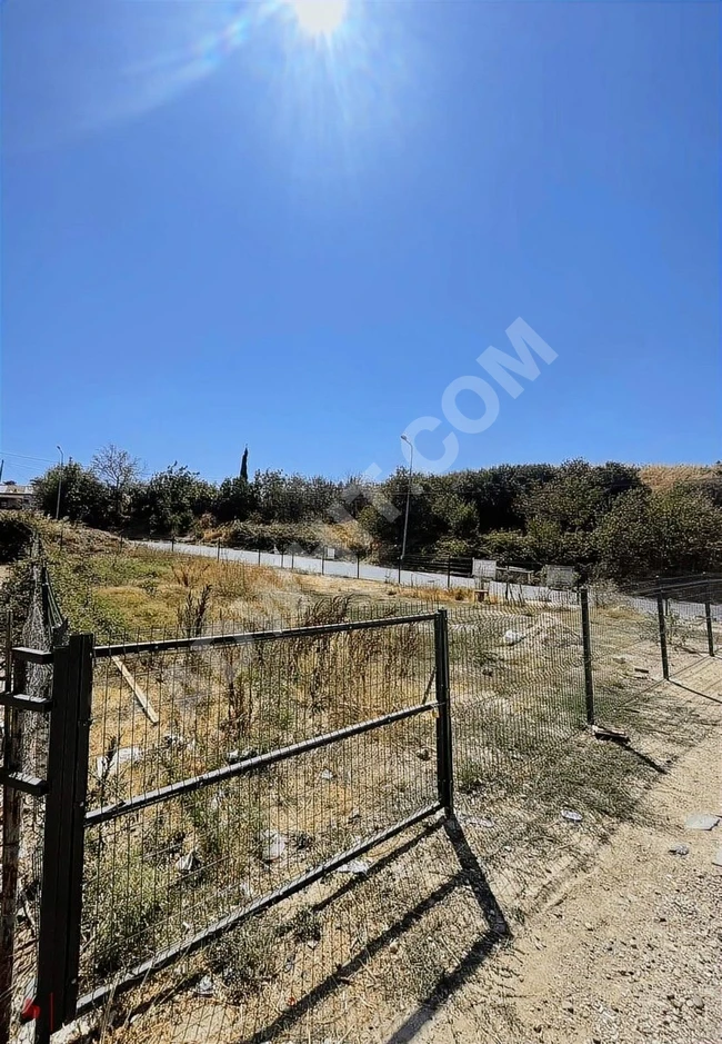 SİLİVRİ SELİMPAŞA'DA KÖŞE PARSEL ARSA