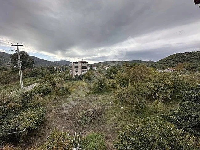 TURABA GAYRİMENKUL DEN ÇINARCIK TA DENİZE 900 M TRİBLEKS VİLLA