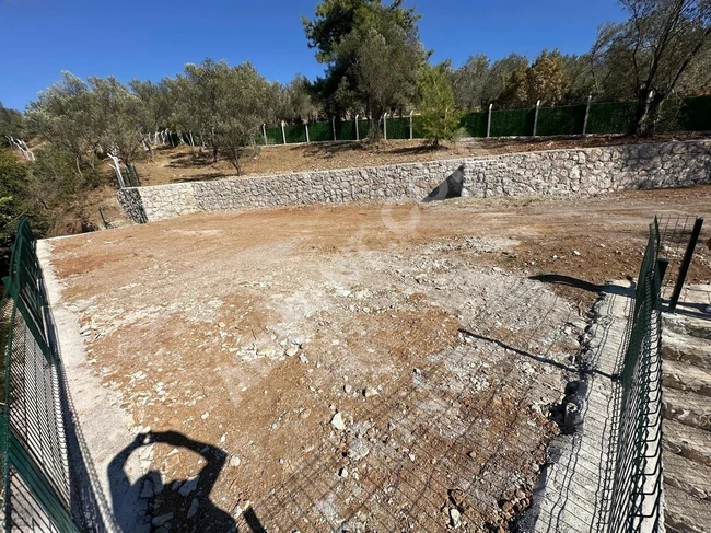 GÜMÜŞ'DEN ŞAHANE DOĞA MANZARALI DEREYE CEPHELİ 1100M² ZEYTİNLİK