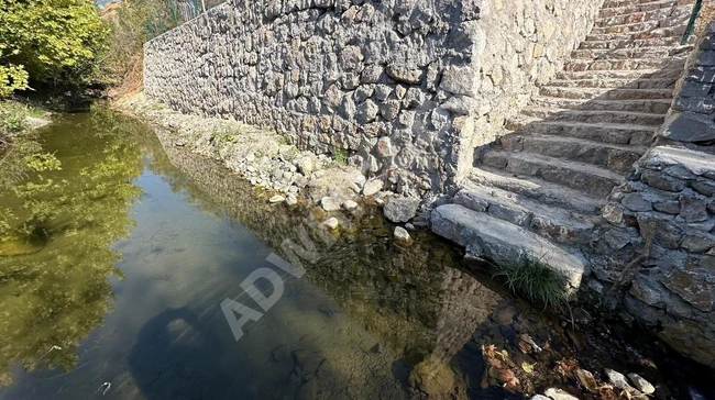 GÜMÜŞ'DEN ŞAHANE DOĞA MANZARALI DEREYE CEPHELİ 1100M² ZEYTİNLİK