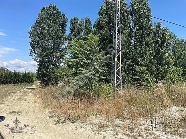 SİLİVRİ ORTAKÖYDE YOLA YAKIN