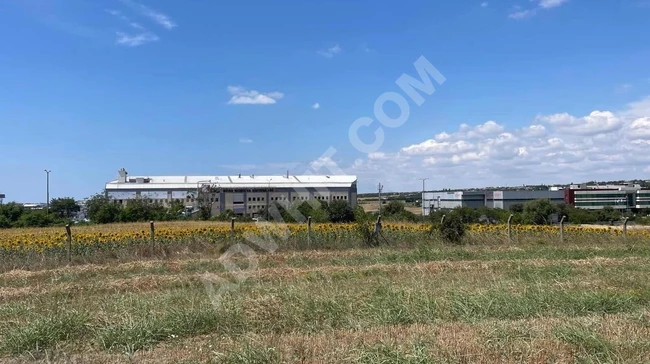 SİLİVRİ ORTAKÖYDE YOLA YAKIN