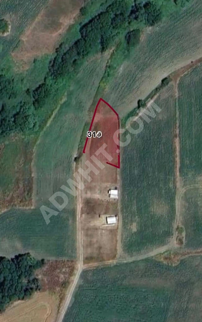 Celaliye'de Satılık 1202 M2 Tek Tapu Tarla