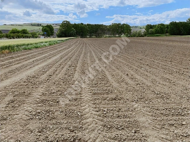 أرض زراعية بمساحة 311 متر مربع على واجهة طريق أسفلتي في SÜLEYMANPAŞA AHMEDİKLİ