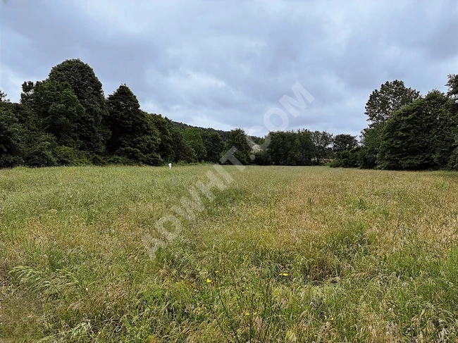 ÇATALCA KARACAKÖY'DE İÇİNDE KONTEYNER OLAN 350M2 TARLA