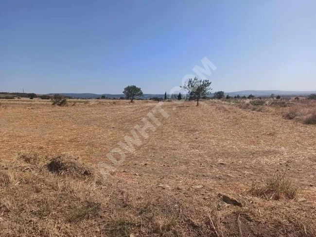 GELİBOLU BAYRAMIÇ KÖYÜNDE ASFALTA CEPHE 3200M2 TARLA