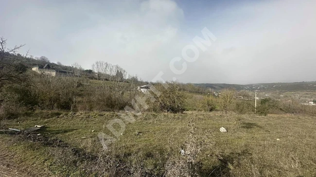 YAĞIZ YAPI GAYRİMENKUL'DEN GEBZE TAVŞANLI SATILIK TARLA