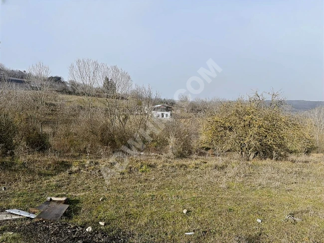 YAĞIZ YAPI GAYRİMENKUL'DEN GEBZE TAVŞANLI SATILIK TARLA