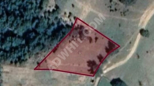 Balıkesir Havran kocaseyit köyü 3158 m2 satılık tarla