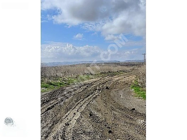 Agricultural land for sale with an area of 1060 square meters in ÇATALCA NAKKAŞ