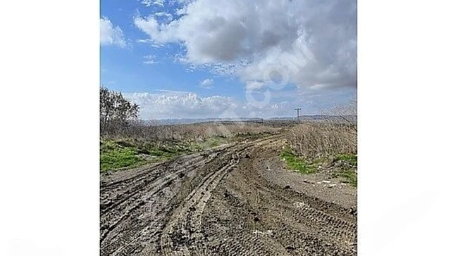 Agricultural land for sale with an area of 1060 square meters in ÇATALCA NAKKAŞ