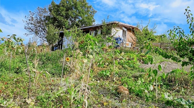 ÇATALCA CELEPKÖY'DE SATILIK ARSA