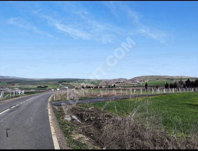 SİLİVRİ KADIKÖY DE YATIRIM FIRSATI HARİKA ARSALAR..