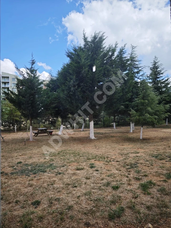 kayaşehir 19 bölge satılık ful tadilatılı daire 