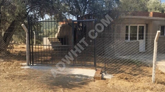 İzmir Bayındır Yusuflu Köyü 444 m2 Satılık Zeytinlik