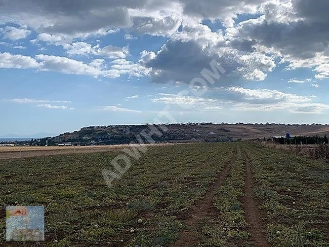 ارض بطابو مفرد 11,400 متر مربع في Marmaraereğlisi  بموقع استثماري ذو قيمة.