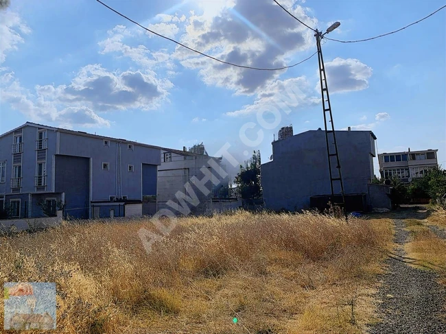 ارض قطعتان متجاورتان بمساحة 336 متر مربع في YENİÇİFTLİK