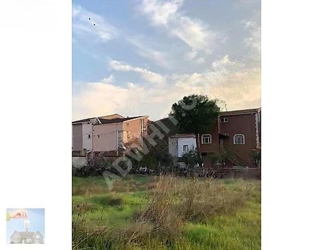 فرص استثمارية: 3 قطع أراضي متجاورة في Yeniçiftlikte