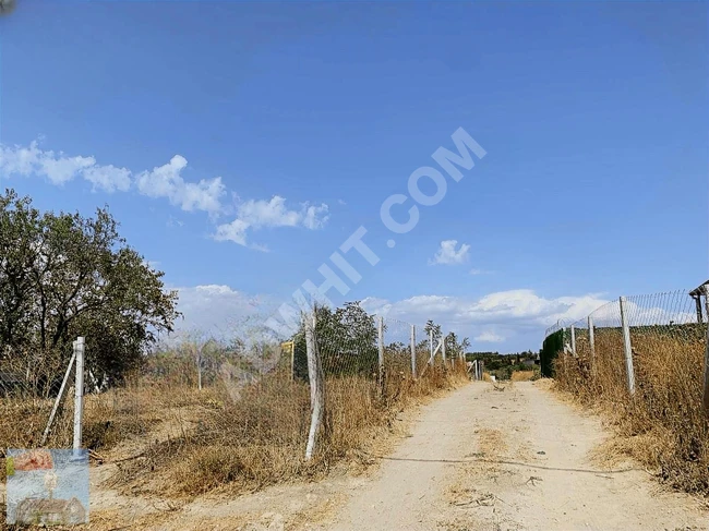 قطعة أرض في YENİÇİFTLİK ، احصل على سند الملكية وابنِ منزلك فوراً!