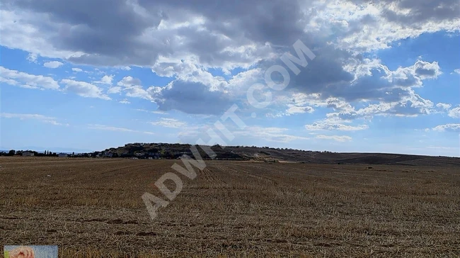 ارض بطابو مفرد 11,400 متر مربع في Marmaraereğlisi  بموقع استثماري ذو قيمة.