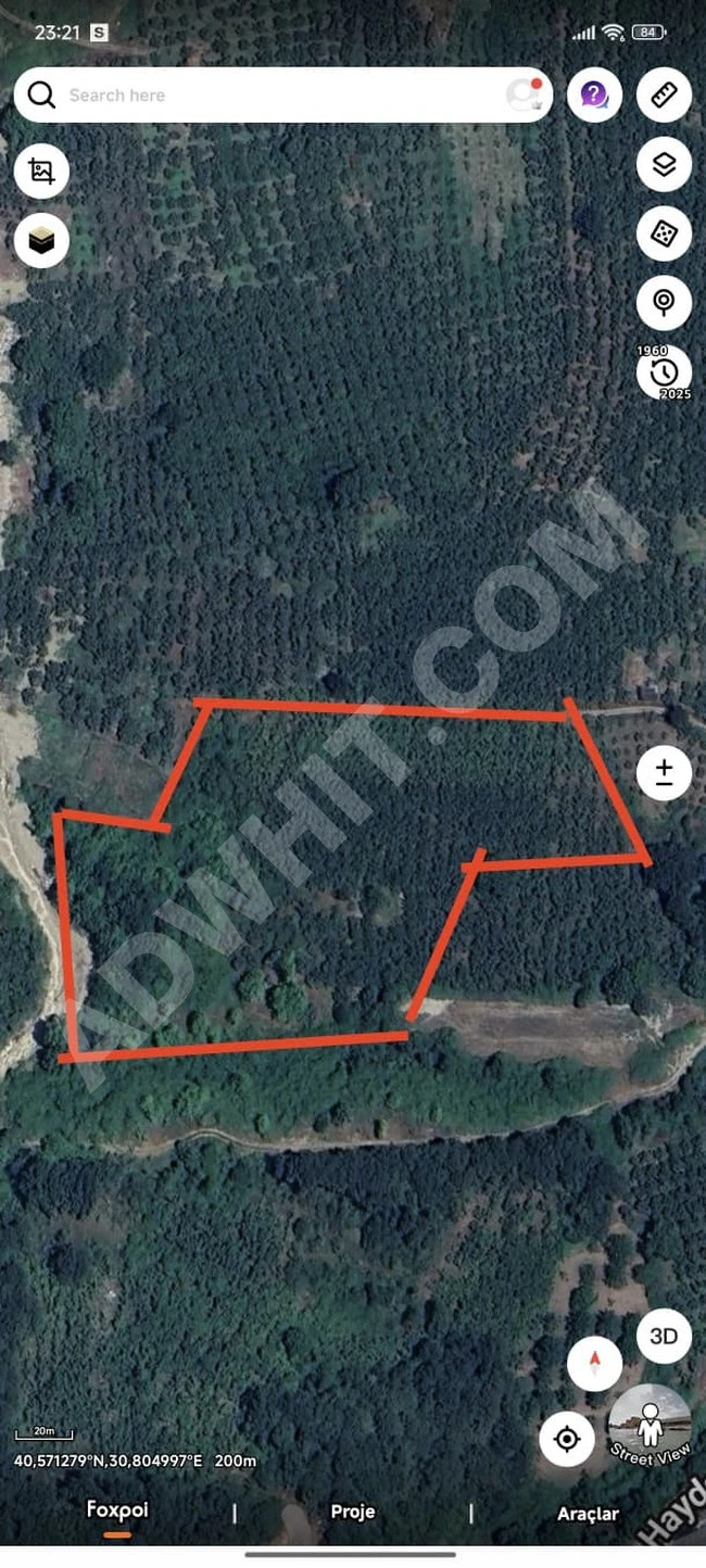 PRATİK&GAYRİMENKUL'DEN SATILIK YATIRIMLIK VERİMLİ FINDIK BAHÇESİ