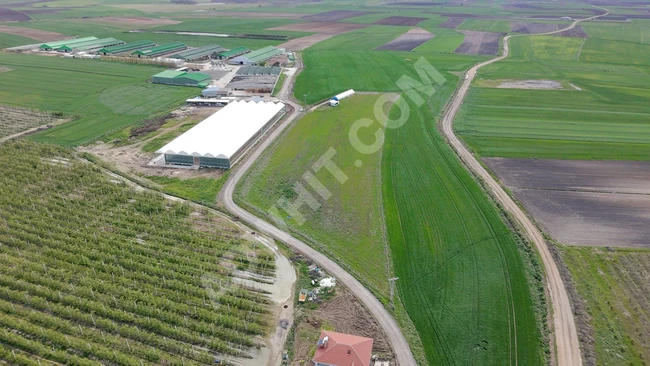 Lüleburgaz Ovacık Köyünde Kurulu Çiftlik 19 Dönüm Satılık Tarla